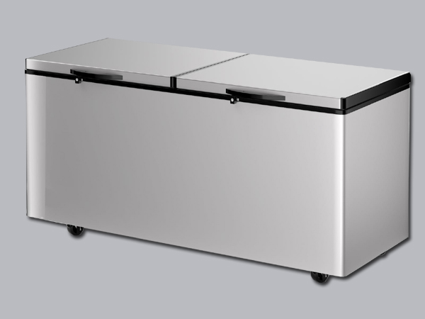 Commercial Chest Freezer Delhi